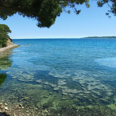Vvf Golfe De Saint-tropez