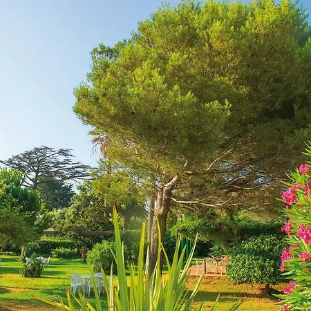Vvf Golfe De Saint-tropez サント・マキシム